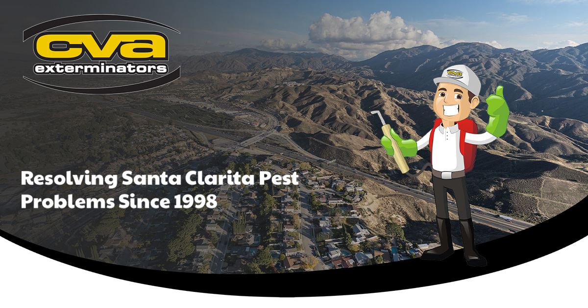 Pest Control in Santa Clarita CVA Exterminators